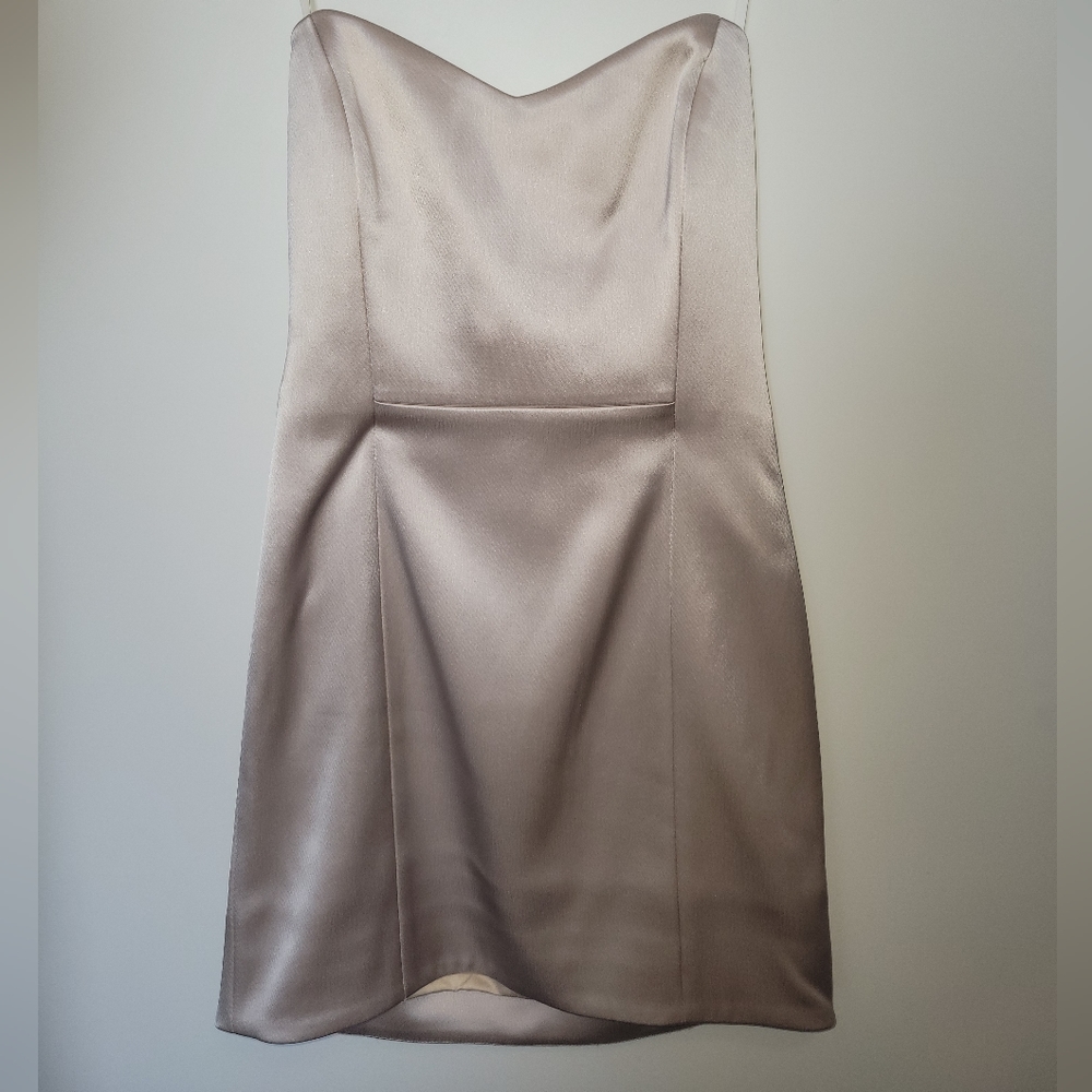 Ten by Babaton Aritzia Dress Dazzle 2
